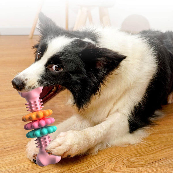 Dog Chew Toy Dog Bone TypeDogs Teeth Cleaning Toys Indestructible TPR Bone Chewing Bite Resistant Teething ToysPet Products