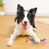 Dog Chew Toy Dog Bone TypeDogs Teeth Cleaning Toys Indestructible TPR Bone Chewing Bite Resistant Teething ToysPet Products
