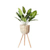 Floor - standing flowerpot straw furniture